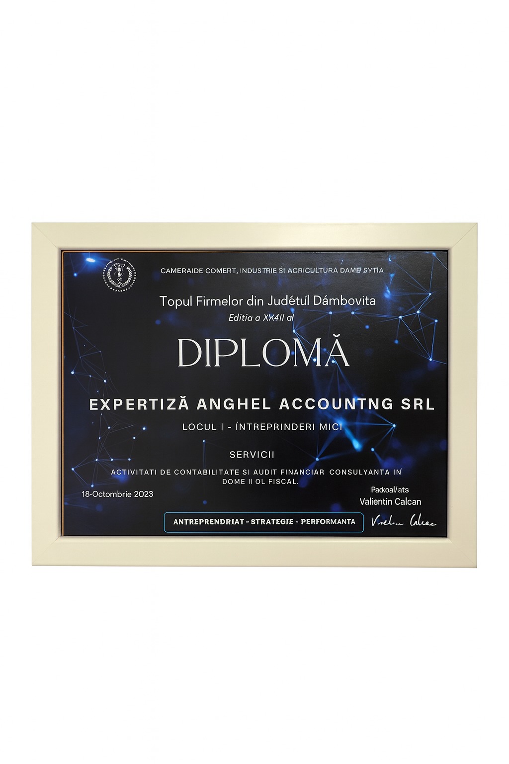 Locul I - Topul Firmelor din Județul Dâmbovița 2025