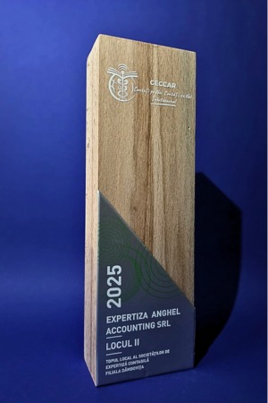 Premii CECCAR 2025 - Locul II - Expertiza Anghel Accounting S.R.L.